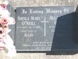 image of grave number 667652